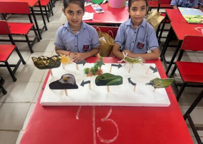 FOOD CHAIN PRESENTATION